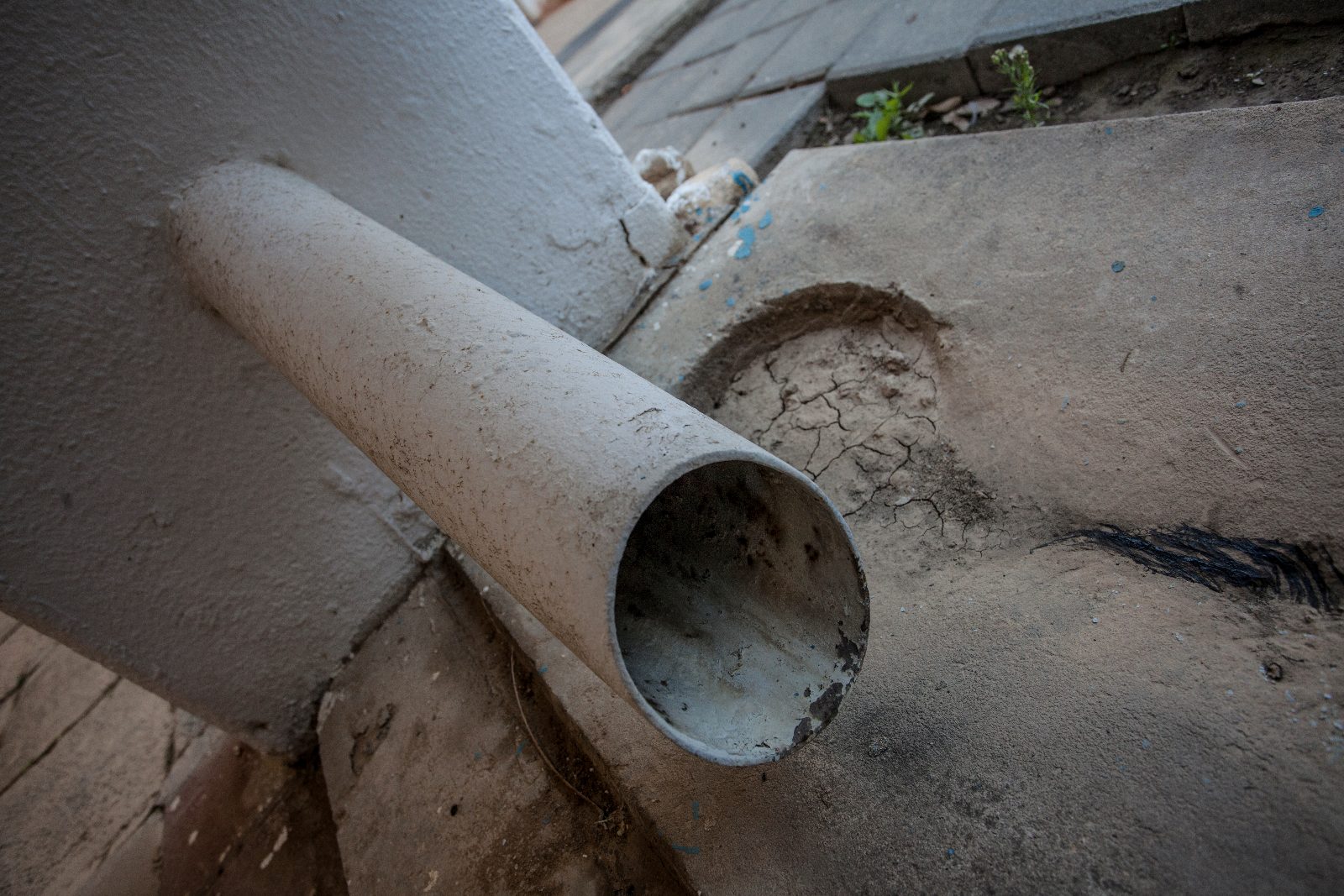 Sewer Line Root Removal